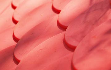 Tutbury plastic roof costs