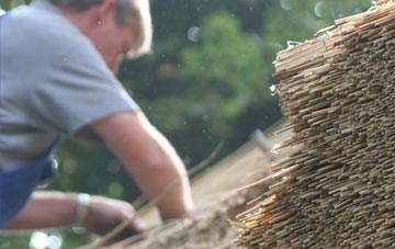 professional Tutbury thatchers