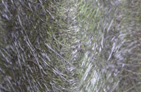 Tutbury fibreglass roof work